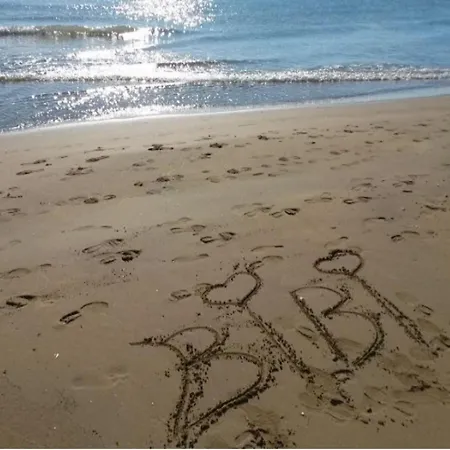 Apartment Enjoy Our In The Area In *